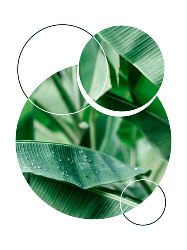 TROPICAL GEOMETRICO - 05G