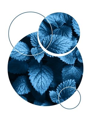 TROPICAL GEOMETRICO - 05I