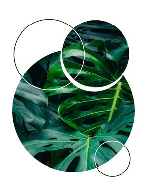 TROPICAL GEOMETRICO - 05J