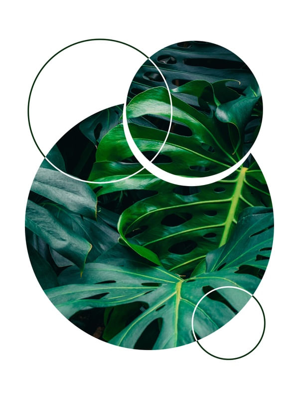 TROPICAL GEOMETRICO - 05J