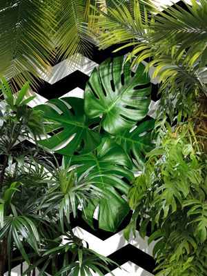 TROPICAL GEOMETRICO - 02A