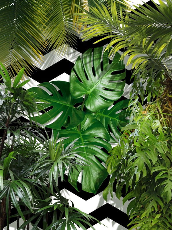 TROPICAL GEOMETRICO - 02A