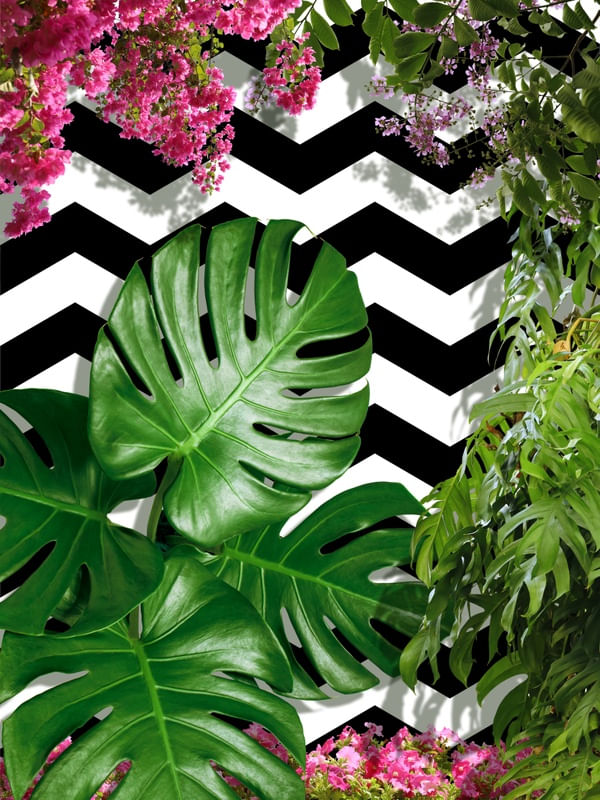 TROPICAL GEOMETRICO - 02C