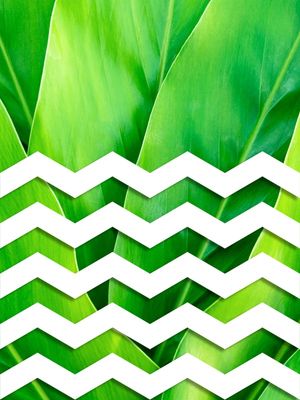 TROPICAL GEOMETRICO - 03A
