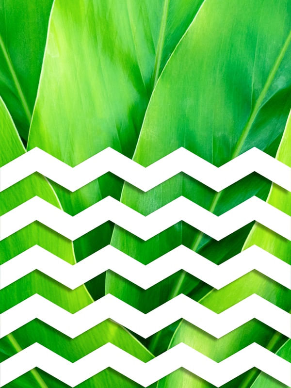 TROPICAL GEOMETRICO - 03A
