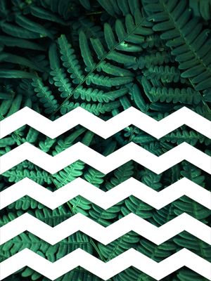 TROPICAL GEOMETRICO - 03B