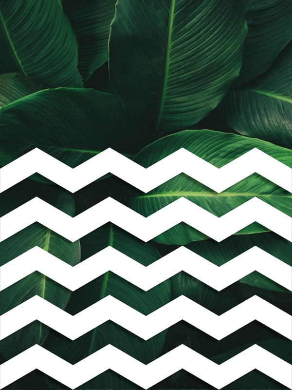 TROPICAL GEOMETRICO - 03C