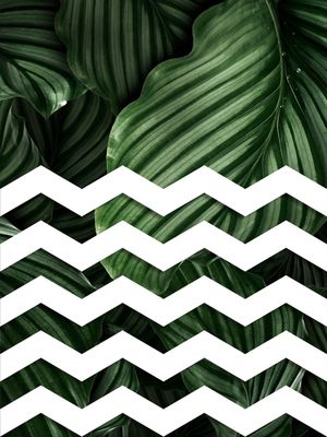 TROPICAL GEOMETRICO - 03D