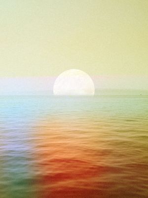 WHATEVER YOU CHOSE SEA