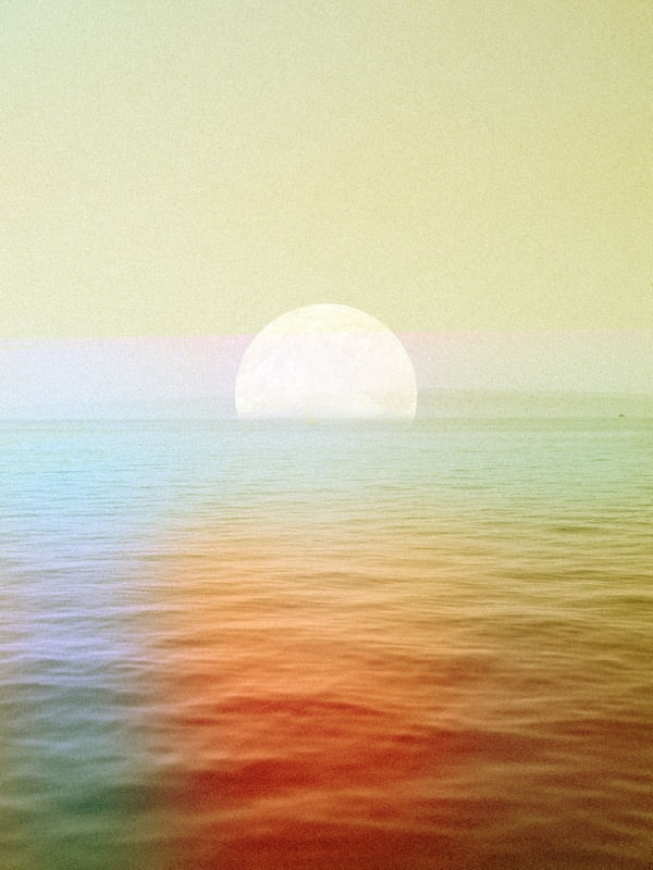 WHATEVER YOU CHOSE SEA