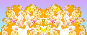 DECORAL 1