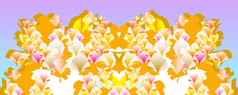 DECORAL 1