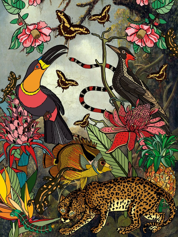 PARAÍSO TROPICALE I