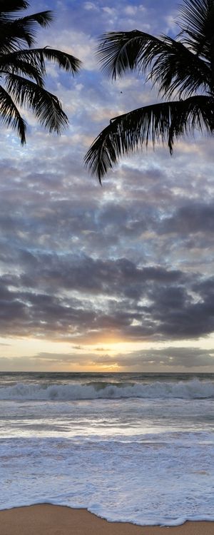 O GIGANTE MAR DE JATIUCA MACEIÓ