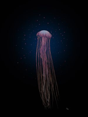 ÁGUA VIVA ROSA
