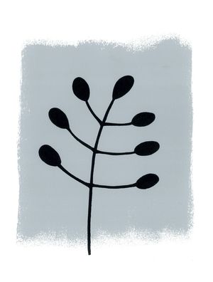 ASM-NATURALE4