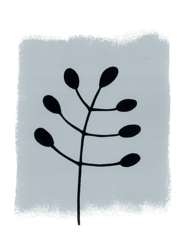 ASM-NATURALE4