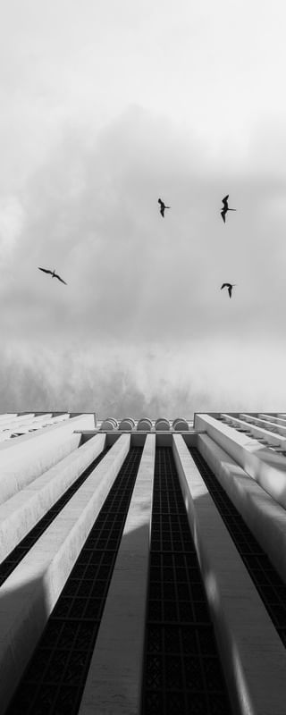 CONCRETE BIRDS