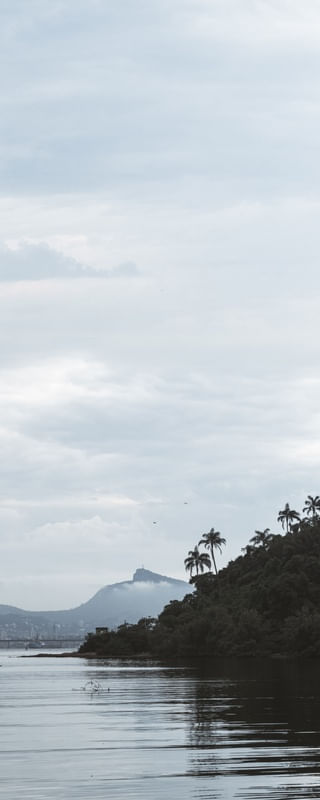 UM DIA NUBLADO NA ILHA DO GOVERNADOR