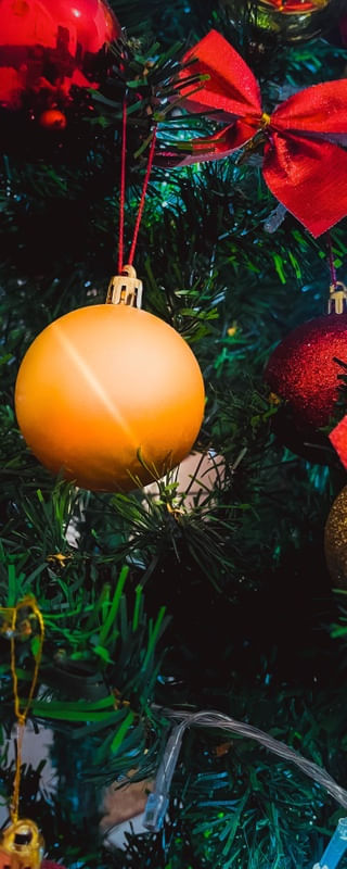 NATAL FPG12