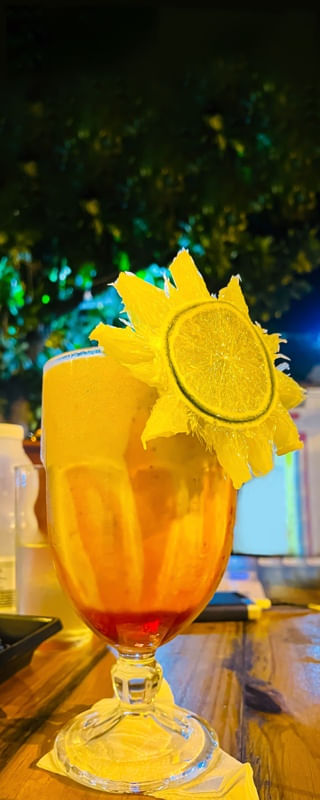 DRINKS FPG13