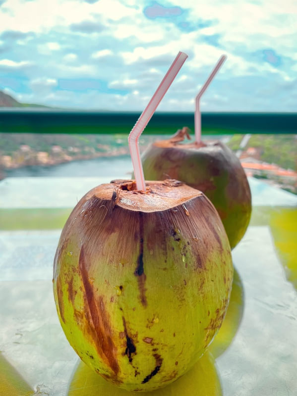 COCONUT WATER FRG02