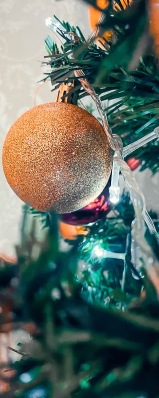NATAL FPG10
