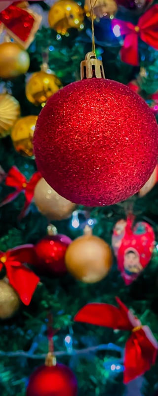 NATAL FPG11