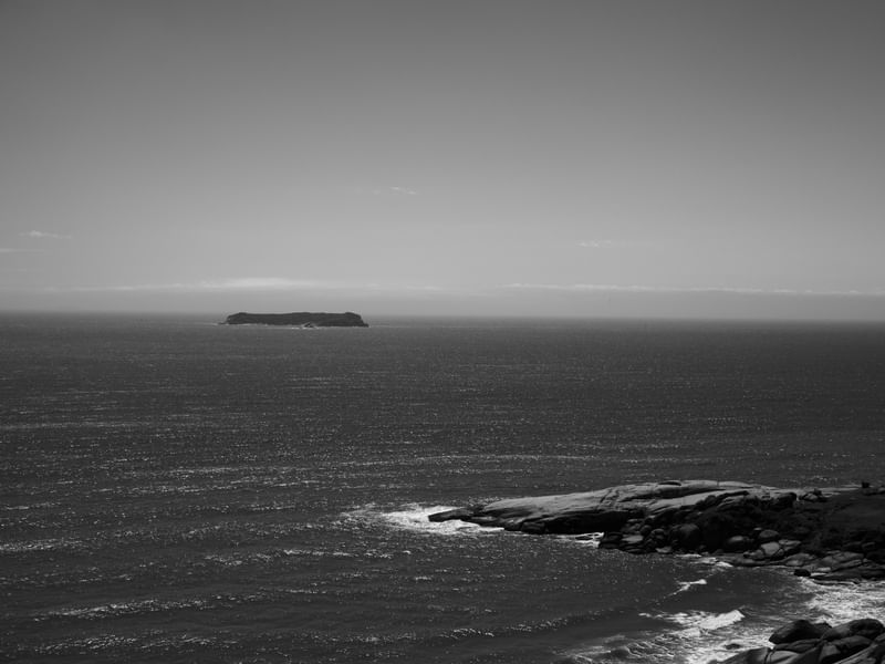 A ILHA DO XAVIER - FLORIPA