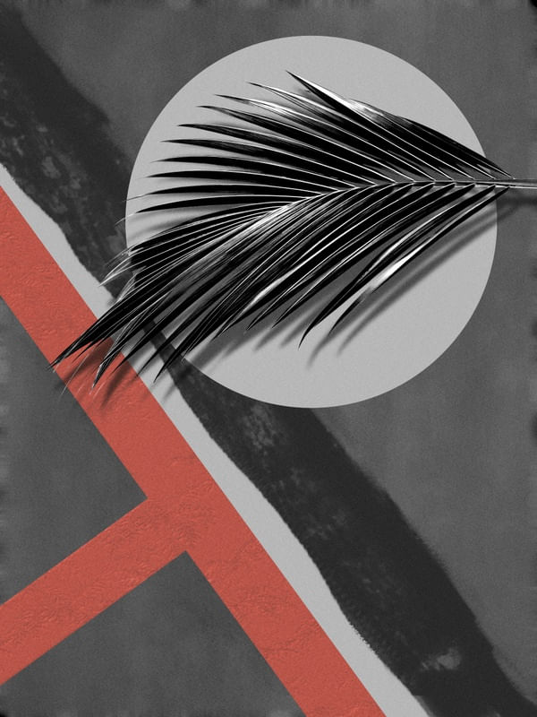 CEMENT LEAF II