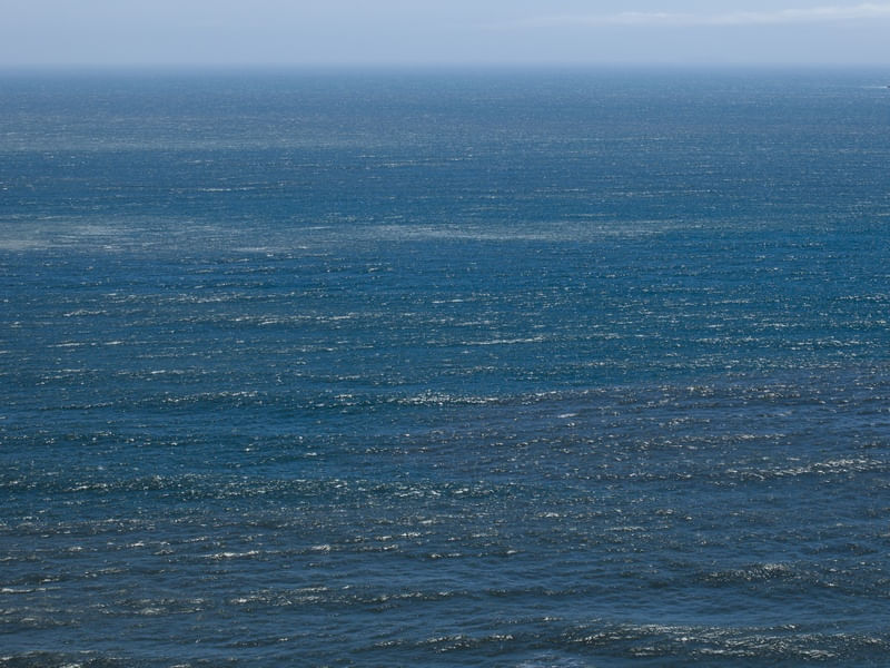 MAR - FLORIPA