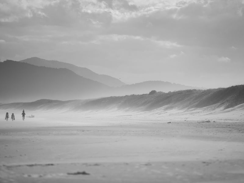 MARESIA - PRAIA DA JOAQUINA
