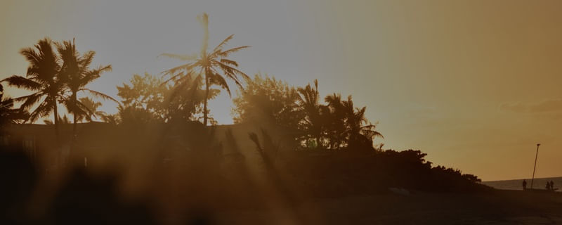 BACKSUN