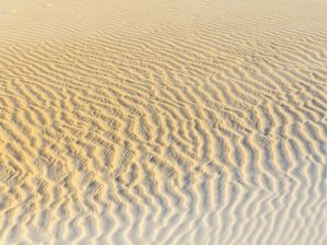 DESENHOS DO VENTO NA AREIA