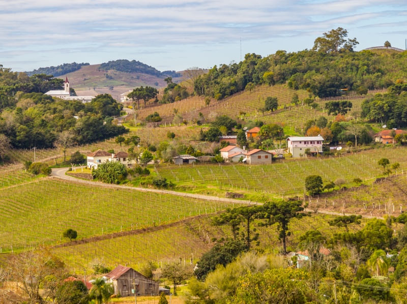 VILA COM VINHEDOS EM BENTO GONÇALVES