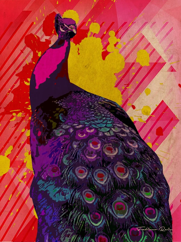 PEACOCK_II