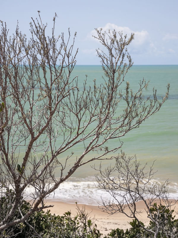 A VISTA DO MIRANTE DA PRAIA DE PITINGA