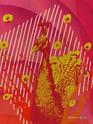 PEACOCK_