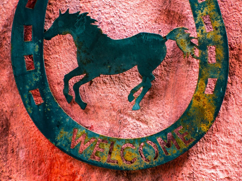 HORSING AROUND (1)