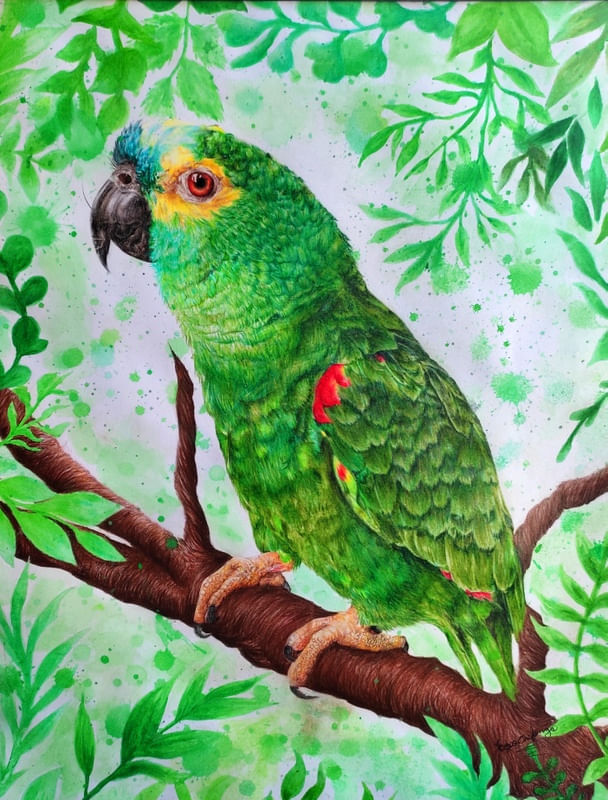 PAPAGAIO SELVAGEM