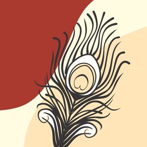 BOHO N1