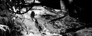 WATERFALL PARTE 2