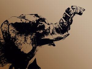 DESENHO DE ELEFANTE
