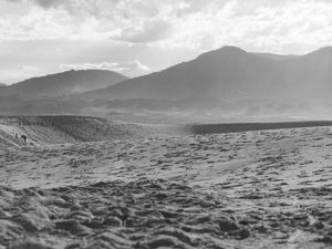 DUNAS PB - FLORIPA
