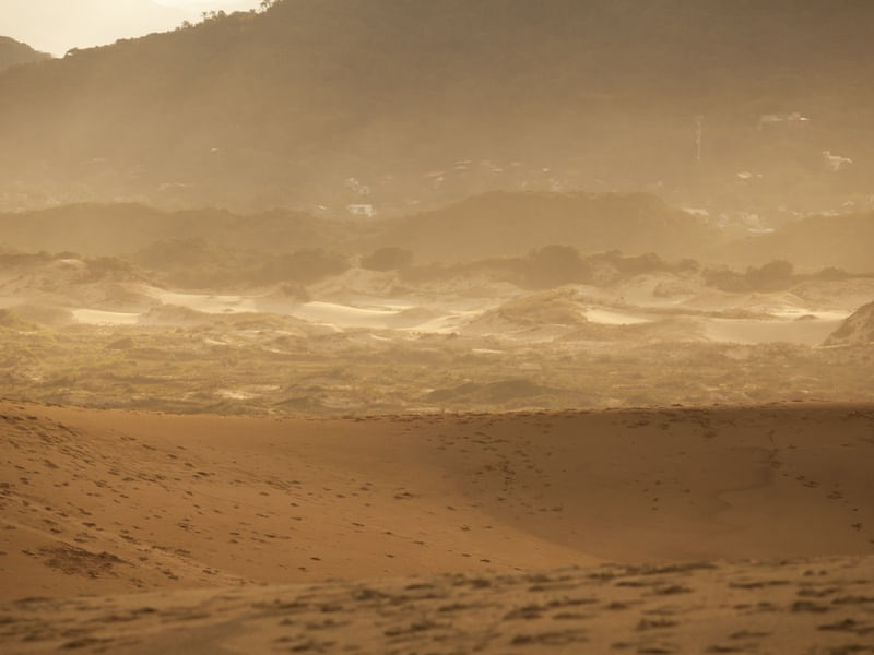AS DUNAS DE FLORIPA AO ENTARDECER