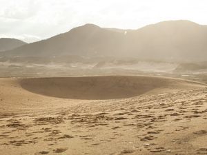 LINHAS & FORMAS - DUNAS - FLORIPA