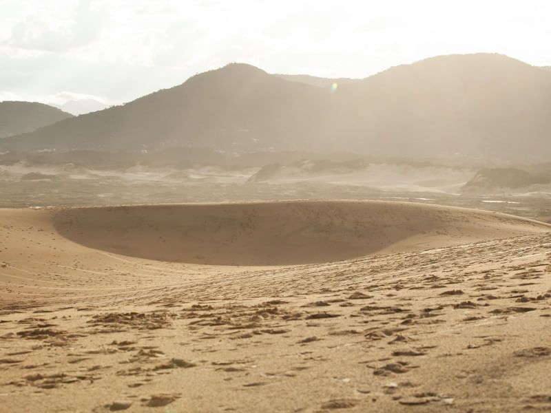 LINHAS & FORMAS - DUNAS - FLORIPA