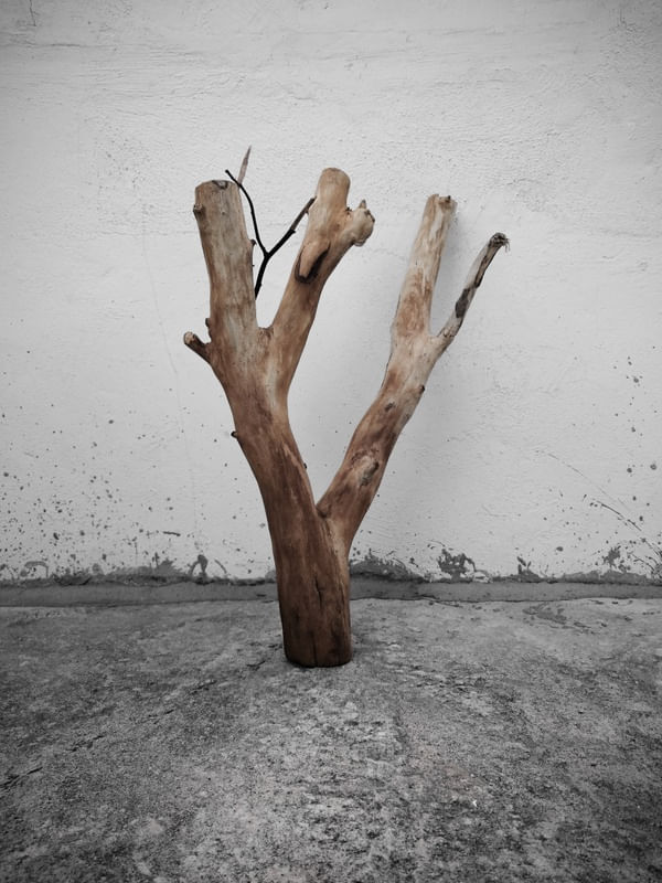 CONCRETE NATURE
