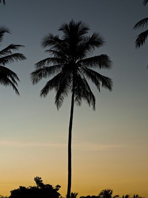 PÔR DO SOL NA BARRA DO ABIAI - PB I