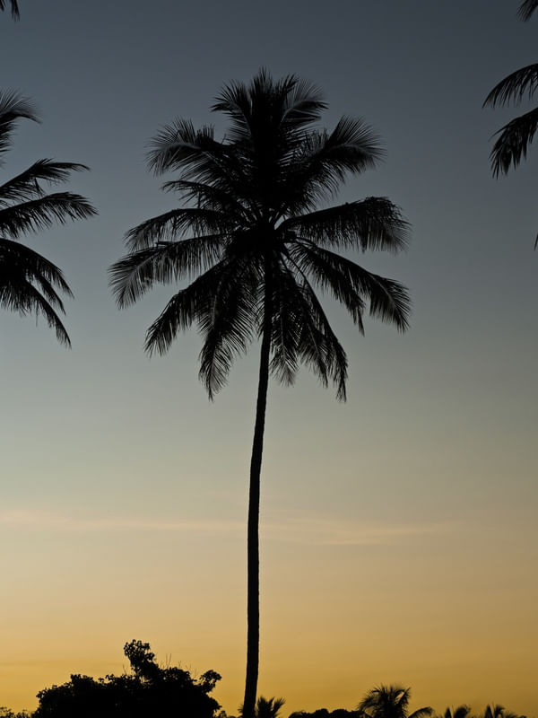 PÔR DO SOL NA BARRA DO ABIAI - PB I